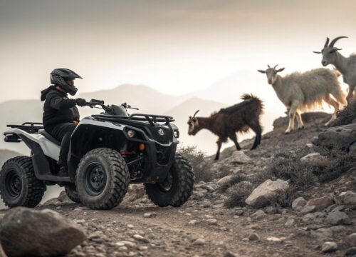 Agadir Quad Biking Off Road 4×4