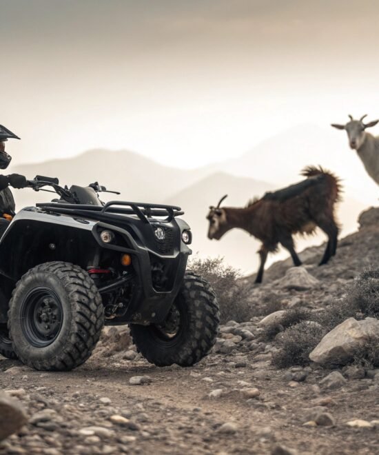 Agadir Quad Biking Off Road 4×4